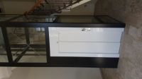 gallery4